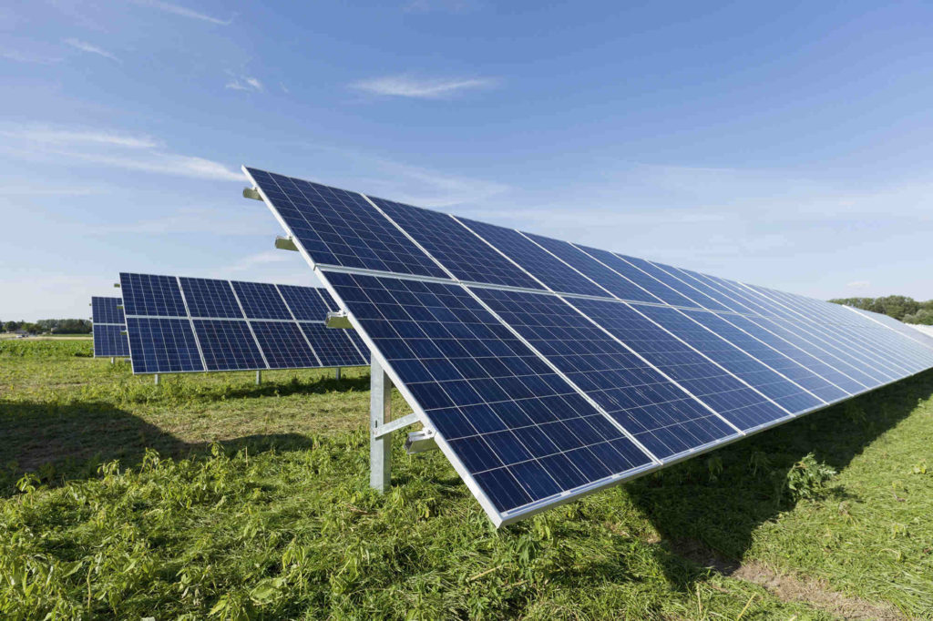 solar panels in a field